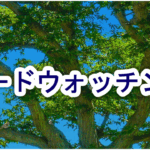 Thumbnail of post image 006